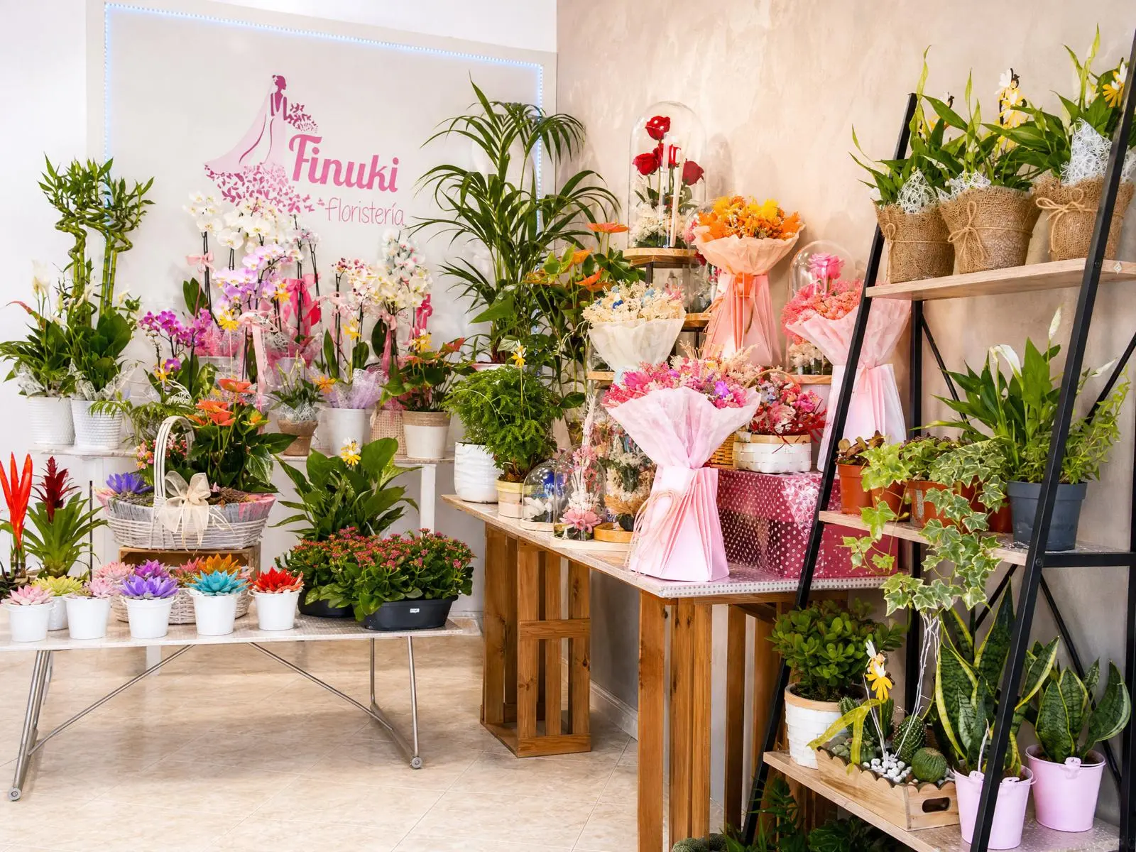 Interior de Finuki Floristas con el logo en la pared, orquídeas y arreglos florales