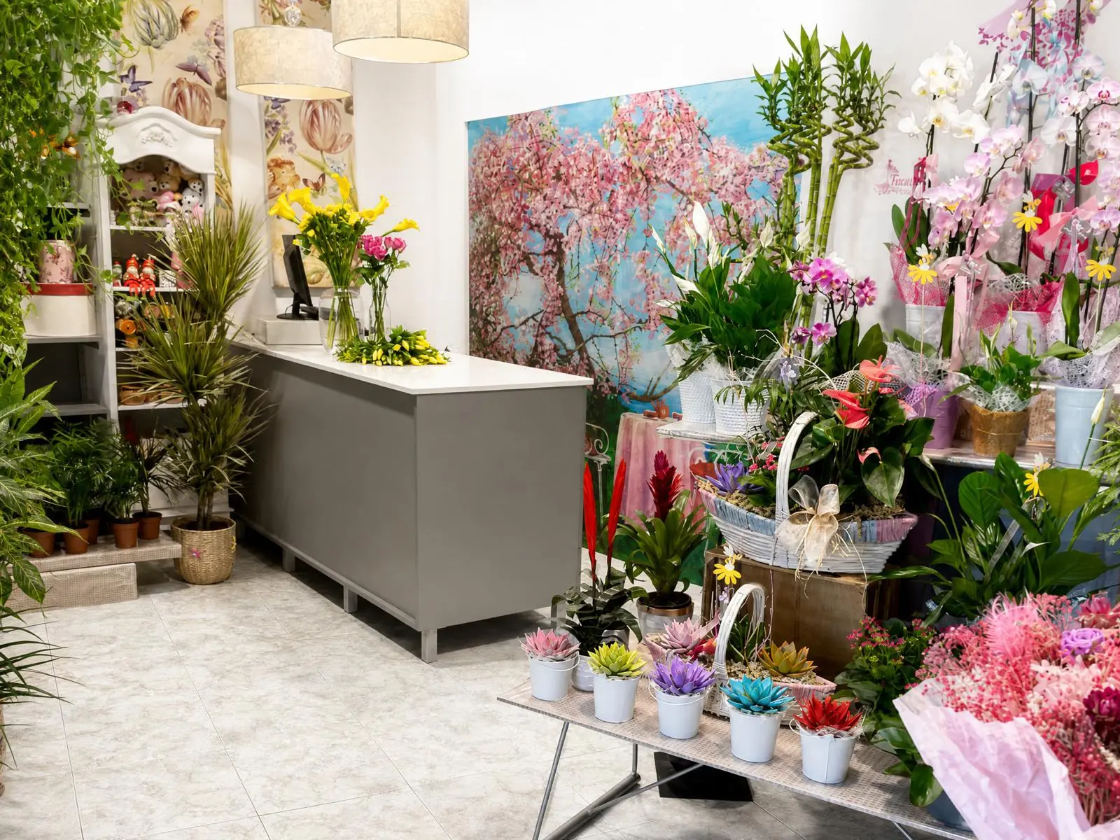 Interior de Finuki Floristas: mostrador con plantas, suculentas y flores