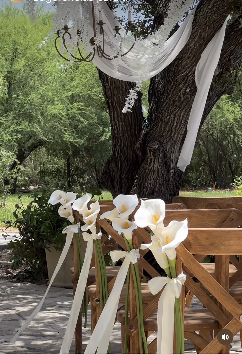 Decoración de sillas con calas blancas para ceremonia al aire libre